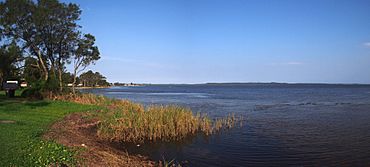 Lake Tuggerah - panoramio.jpg