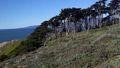 Lands End