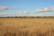 Llano Estacado Caprock Escarpment south of Ralls TX 2009