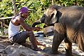 Mahout with young elephant