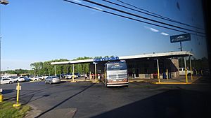 Mount Laurel greyhound sta jeh