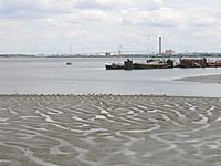 Mudflats at Erith - geograph.org.uk - 198214