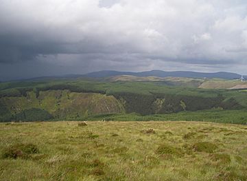 Penyfagrn.jpg