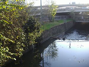 River Brent1