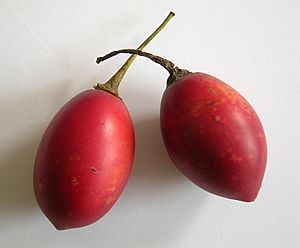 Tamarillos(janek2005)