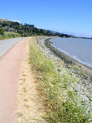 Tiburon trail