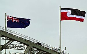 Tino rangatiratanga flag on Harbour Bridge