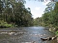 Yarra River Wonga Park