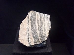 Acasta gneiss