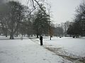 Acton Park1