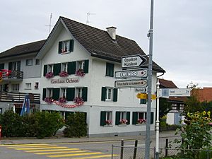 AmlikonOchsen