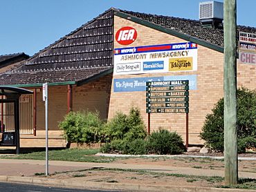 Ashmont, NSW Ashmont Mall.JPG