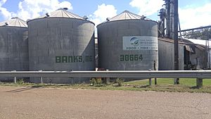 BanksMSGrainBins.jpg