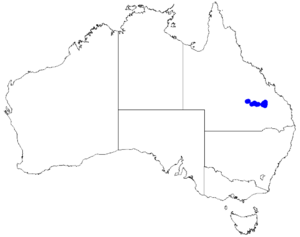 Boronia forsteri DistMap47.png