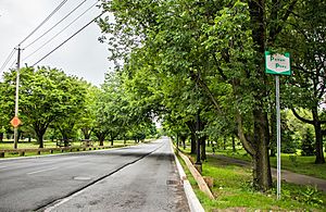 Bronx and Pelham Parkway