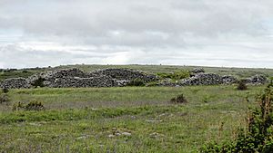 Cahercommaun distant view