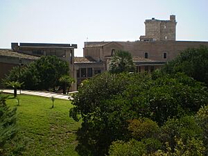 Cittadella dei Musei CA