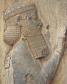 Darius I (The Great).jpg