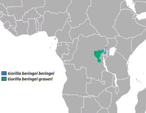 Eastern Gorilla area.png