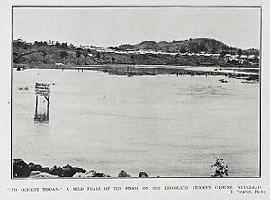 Eden Park in flood