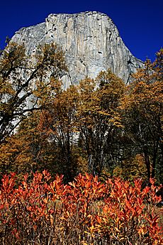 El Capitan at fall