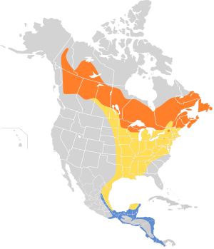 Empidonax flaviventris map.svg