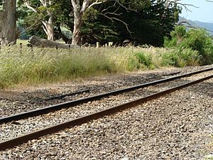 Fernside railway station 02