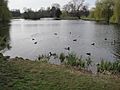 Foots Cray Meadows lake