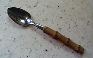 Grapefruit spoon