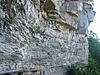 The base of a cliff along the Indian Ladder Trail at John Boyd Thacher State Park.