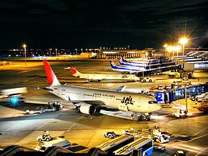 JAL & ANA - Chubu International Airport