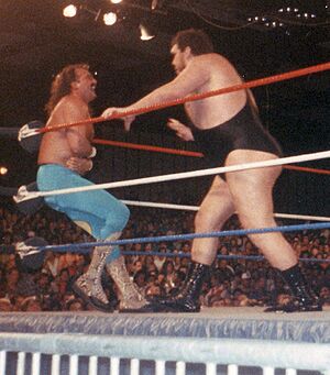 Jake Roberts and Andre