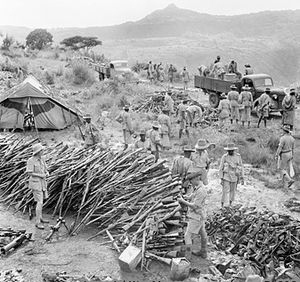 KAR soldiers collecting arms at Wolchefit Pass