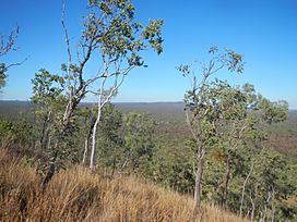 Kalkani Crater - panoramio (5).jpg