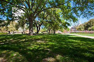 LaTech Quad towards the Lady of the Mist