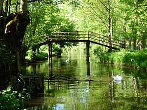 Le Vanneau-Passerelle