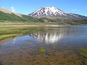 Lonquimay Volcano.jpg