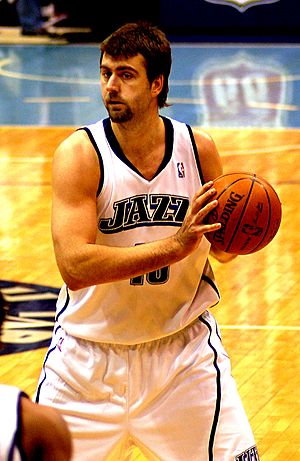 Mehmet Okur (cropped).jpg