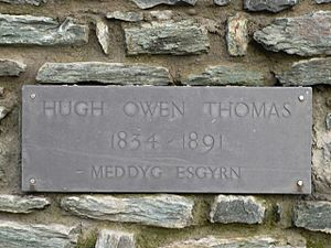 Memorial to a Bone Doctor, at Llys Meddyg, Bodedern, Anglesey. - geograph.org.uk - 110778