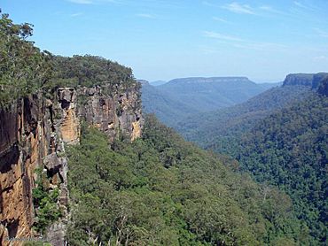 MortonNationalParkFitzroyFalls.jpg