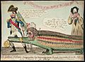 Nelson crocodiles