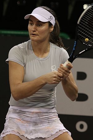 Niculescu LIM21 (3)