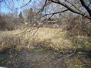 Oak Hollow Conservation area of Schaumburg, Illinois