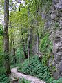 Pictured-Rocks-County-Park Jones-County,-Iowa Saturday,-August-20,-2011 g