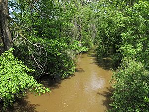 Pinconning River Pinconning Township Michigan.jpg