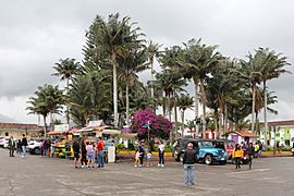 Plaza de Bolívar, Salento 01