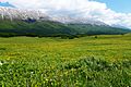 Prateria sul Passo San Leonardo - panoramio