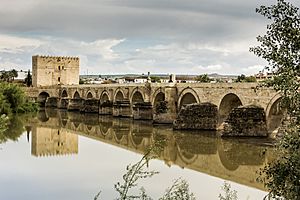 Puente Romano Cordoba.jpg