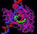 RNA pol