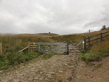 Rivington Pike Hill.jpg